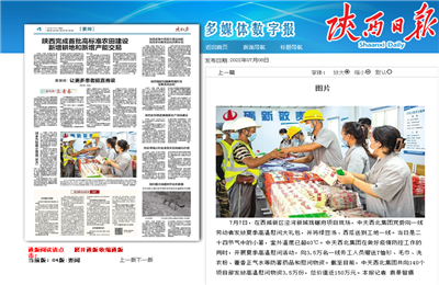 PG西北集团珑樾府项目高温慰问——《陕西日报》